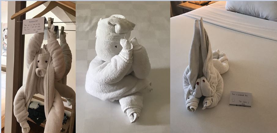 Towel Animals